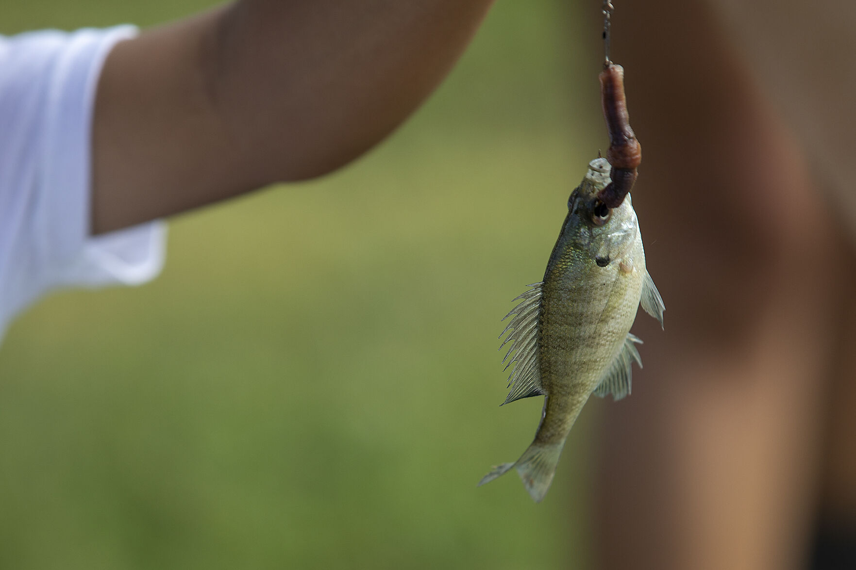 KidFish in Navasota